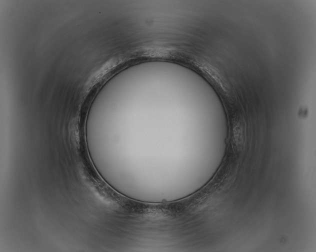 X0000090740682200708031546