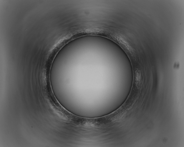 X0000090740684200708031546