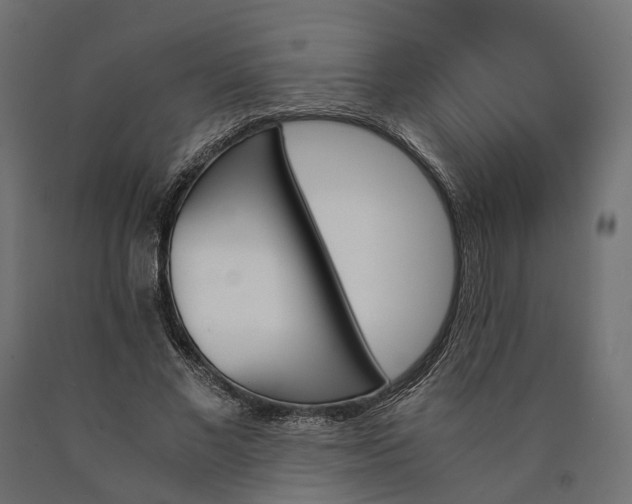 X0000090740685200708031546