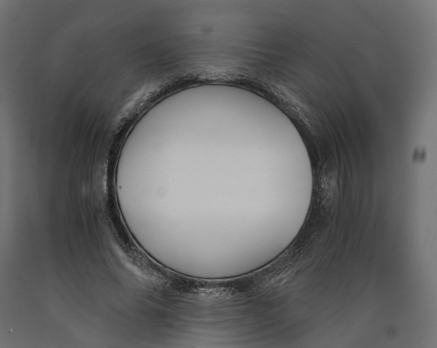 X0000090740686200708031546