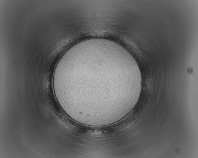 X0000090740687200708031546