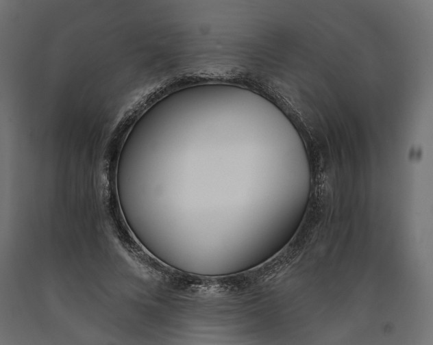 X0000090740688200708031546