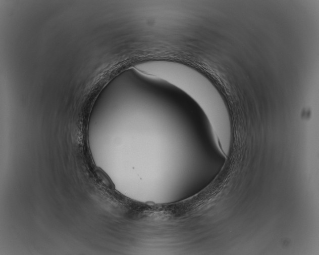 X0000090740689200708031546