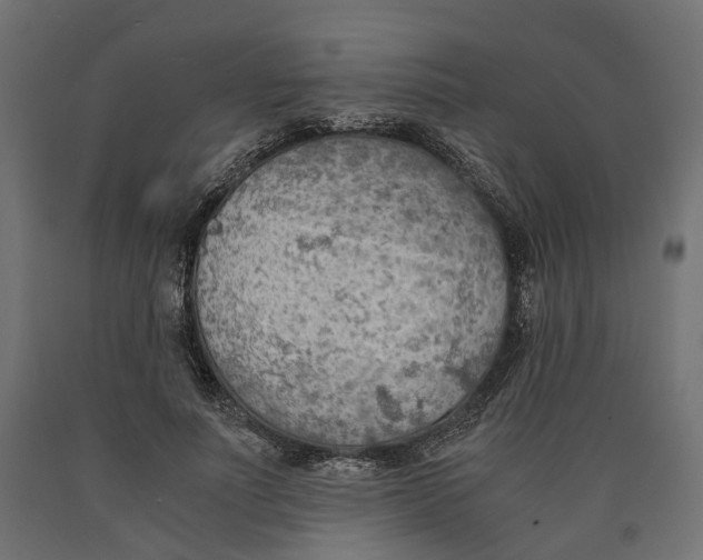 X0000090740691200708031546