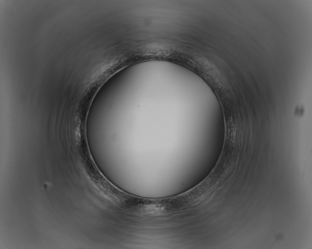 X0000090740692200708031546