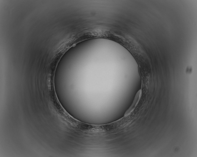 X0000090740696200708031546