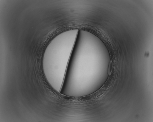 X0000090740697200708031546