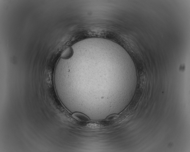 X0000090740699200708031546