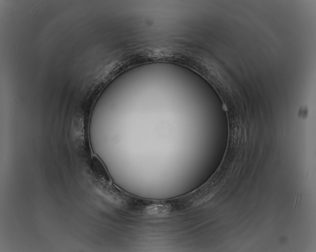 X0000090740700200708031546