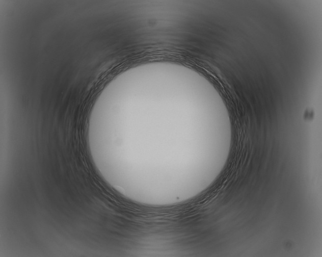 X0000090740701200708031546