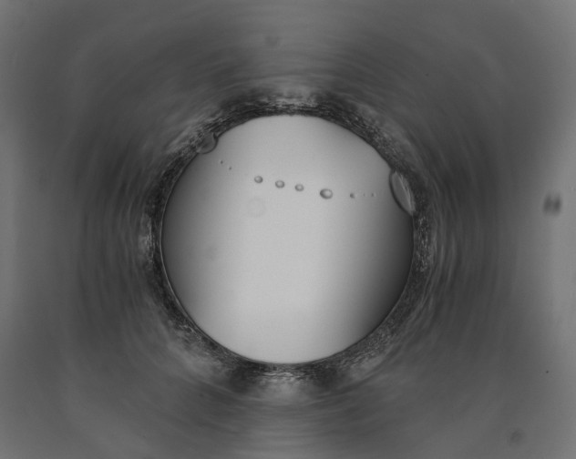 X0000090740704200708031546