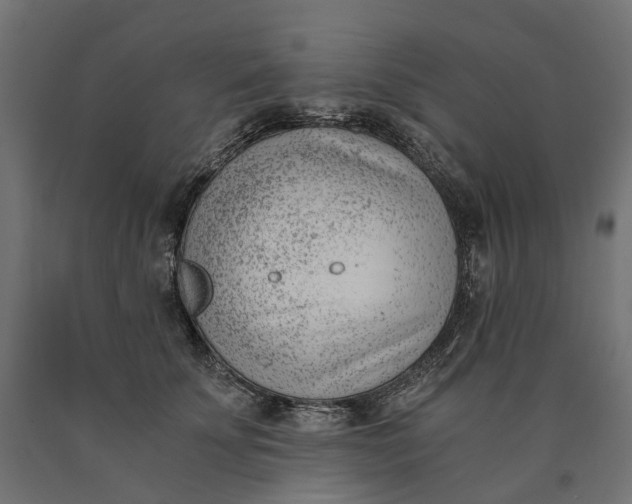 X0000090740707200708031546