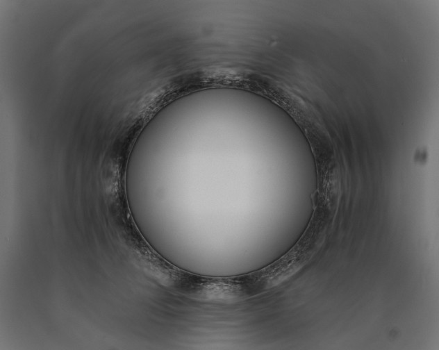 X0000090740708200708031546