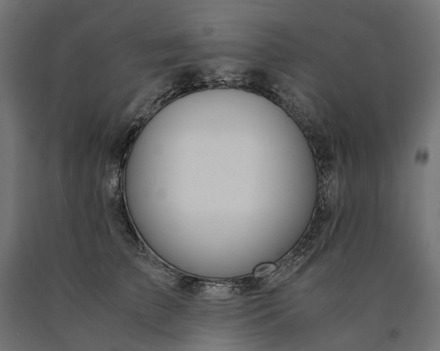 X0000090740709200708031546