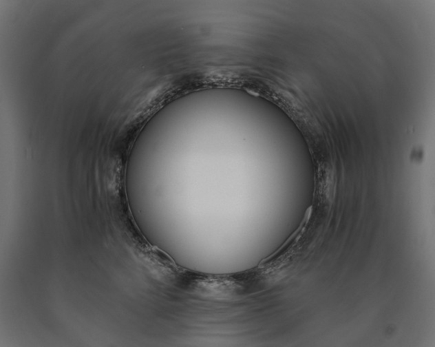 X0000090740712200708031546