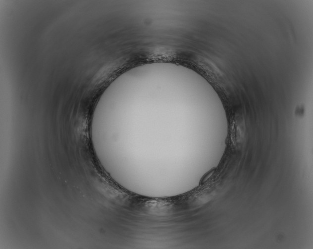 X0000090740714200708031546