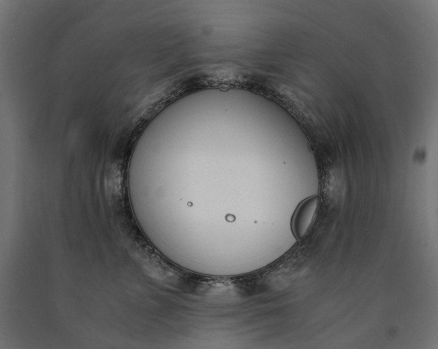 X0000090740715200708031546