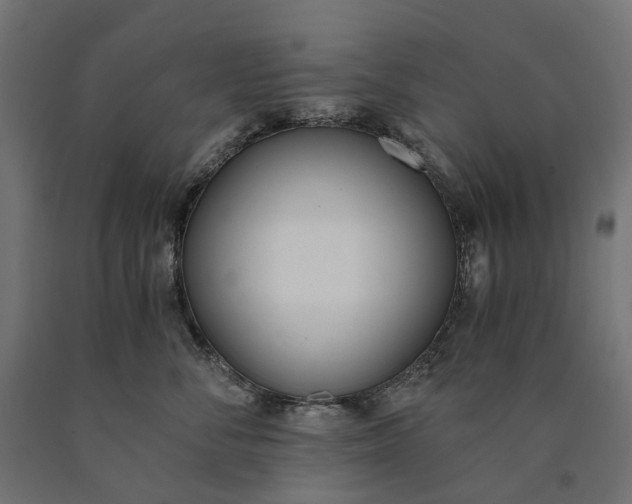 X0000090740716200708031546