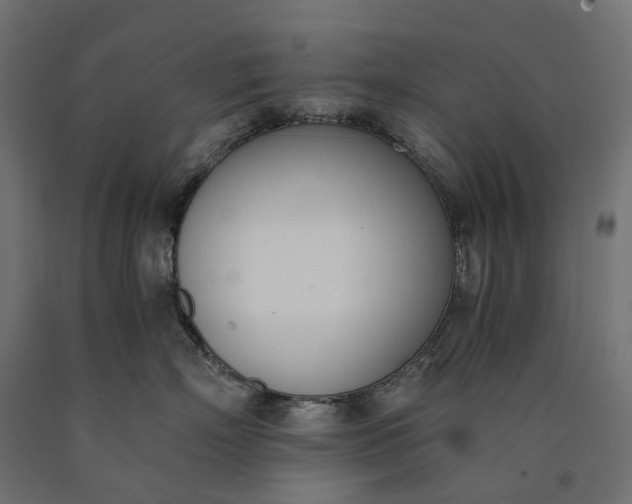 X0000090740718200708031545