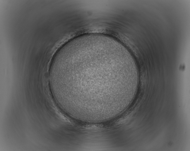 X0000090740721200708031545