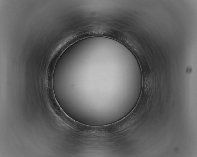 X0000090740722200708031545