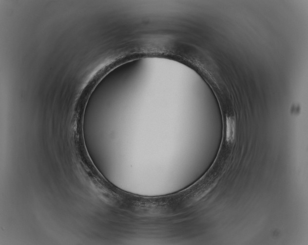 X0000090740723200708031545