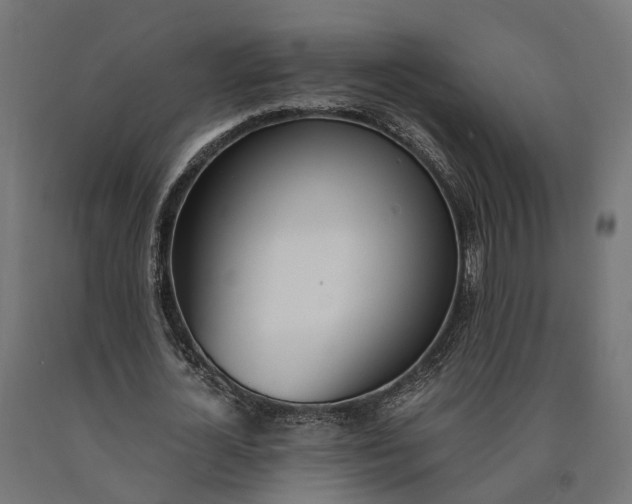 X0000090740724200708031545