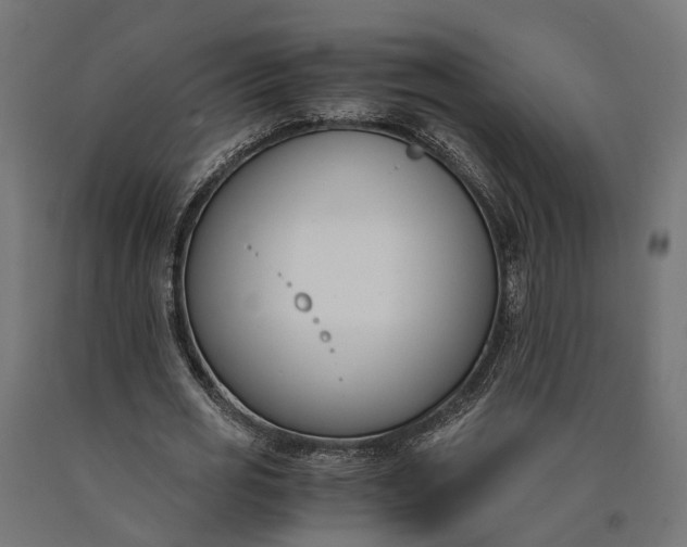 X0000090740725200708031545