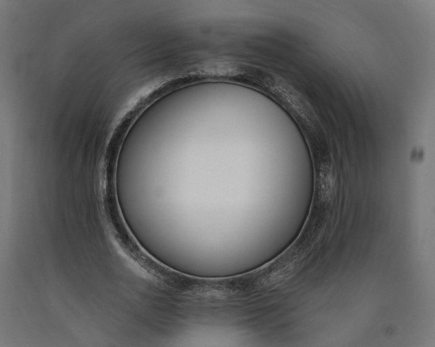 X0000090740726200708031545