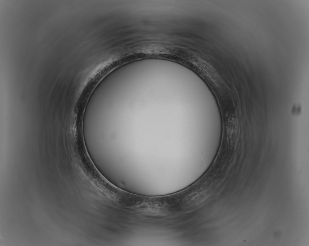 X0000090740727200708031545