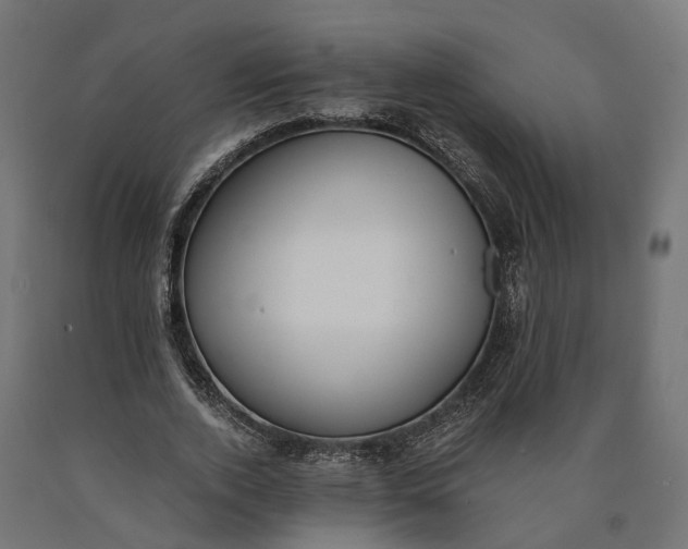 X0000090740728200708031545