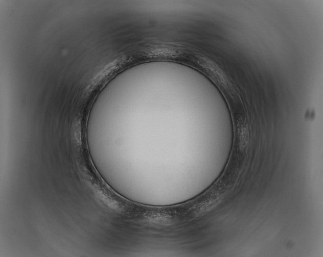 X0000090740729200708031545