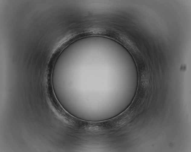 X0000090740730200708031545