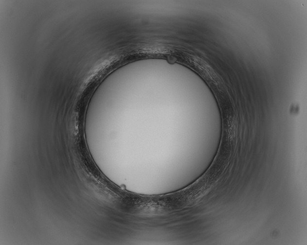 X0000090740731200708031545