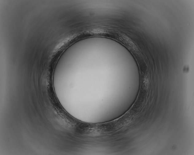 X0000090740732200708031545