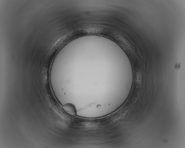 X0000090740733200708031545