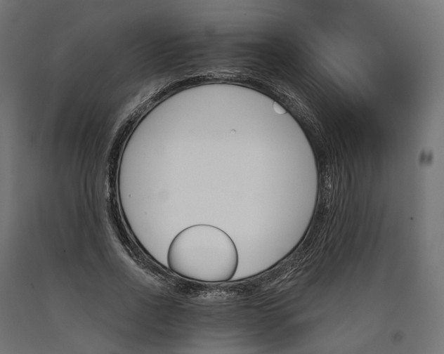 X0000090740734200708031545