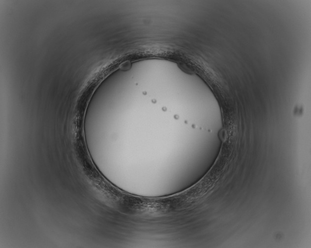 X0000090740736200708031545