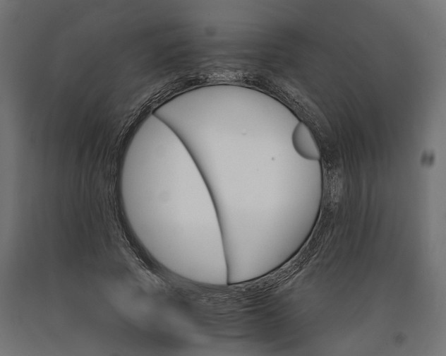 X0000090740737200708031545