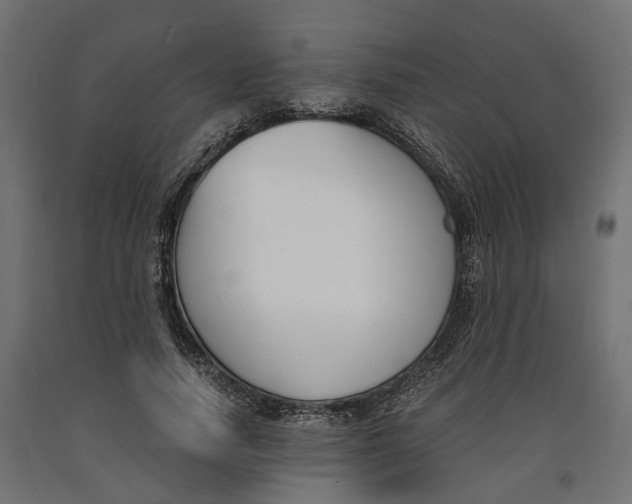 X0000090740738200708031545