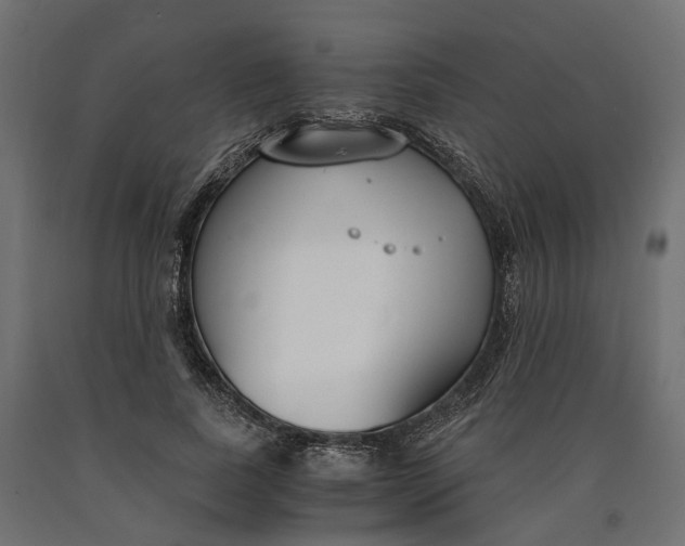 X0000090740739200708031545