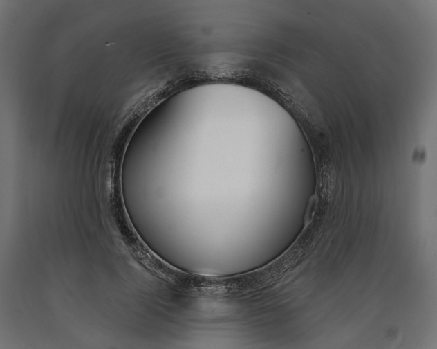 X0000090740740200708031545