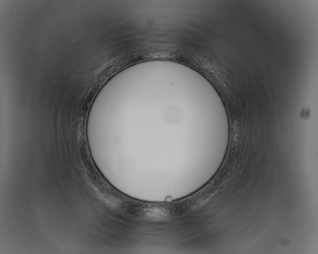 X0000090740741200708031545