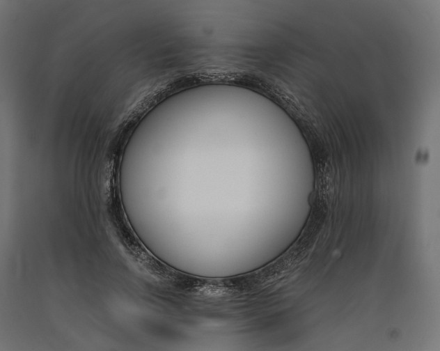 X0000090740742200708031545