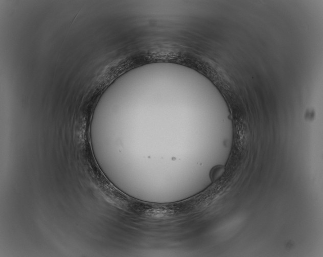 X0000090740745200708031545