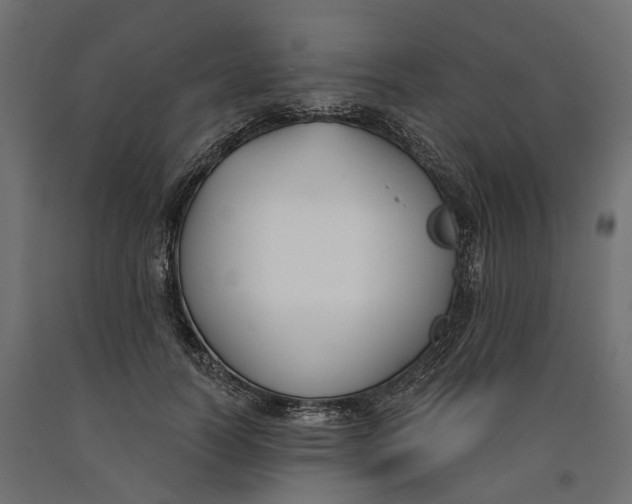 X0000090740746200708031545