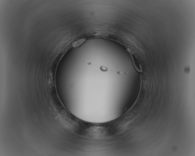 X0000090740748200708031545