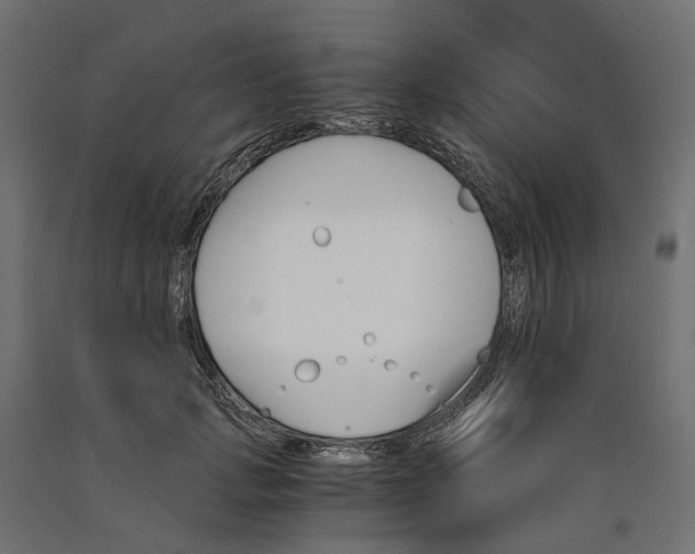 X0000090740749200708031545