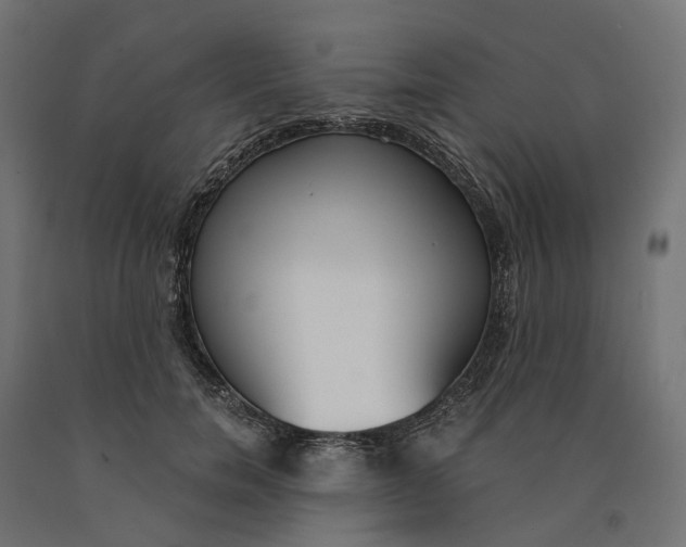 X0000090740750200708031545