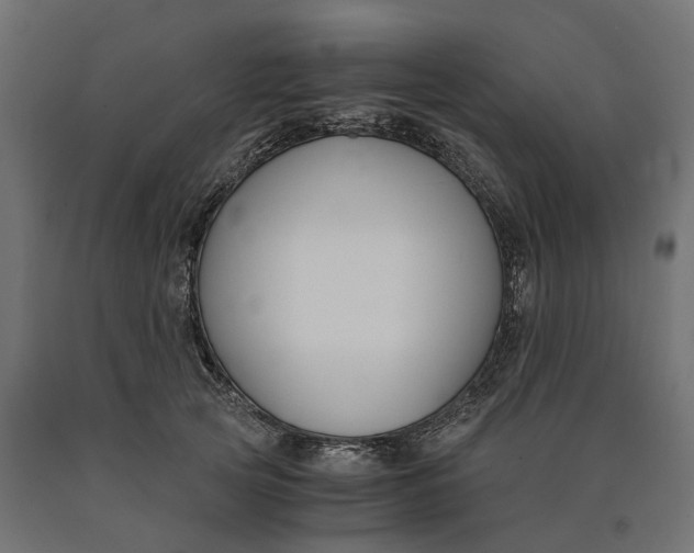 X0000090740753200708031545